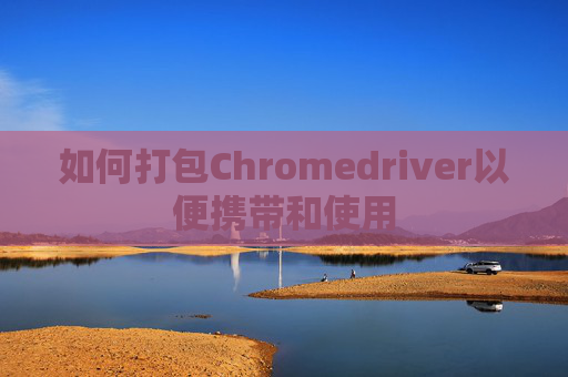 如何打包Chromedriver以便携带和使用