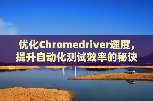 优化Chromedriver速度，提升自动化测试效率的秘诀