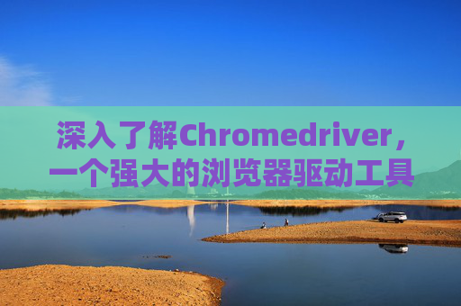 深入了解Chromedriver，一个强大的浏览器驱动工具