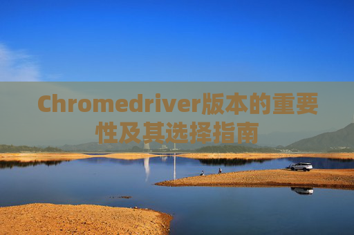Chromedriver版本的重要性及其选择指南